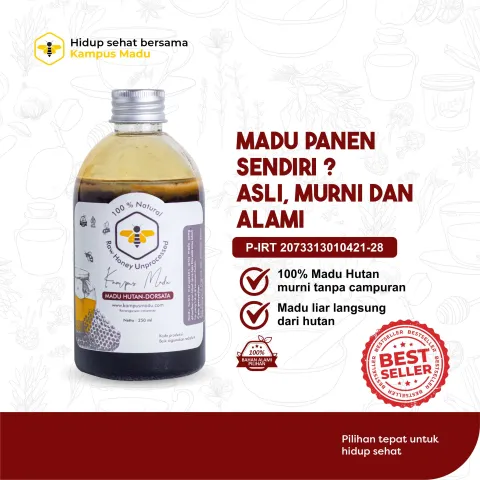Madu Hutan (Dorsata) Sumatera Raw Honey